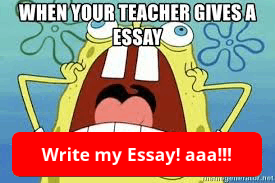 type my essay